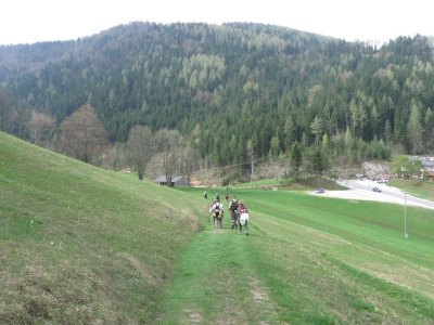 ZUM VERGR�SSERN DRAUFKLICKEN - Fusswallfahrt nach Mariazell 2013 � Pfarre St. Othmar in M�dling