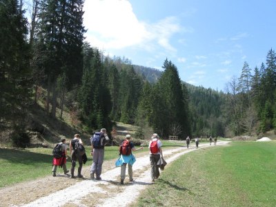 ZUM VERGR�SSERN DRAUFKLICKEN - Fusswallfahrt nach Mariazell 2013 � Pfarre St. Othmar in M�dling