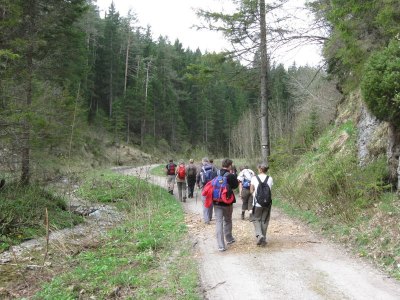 ZUM VERGR�SSERN DRAUFKLICKEN - Fusswallfahrt nach Mariazell 2013 � Pfarre St. Othmar in M�dling