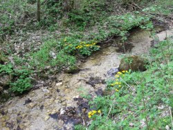 ZUM VERGR�SSERN DRAUFKLICKEN - Fusswallfahrt nach Mariazell 2014 � Pfarre St. Othmar in M�dling