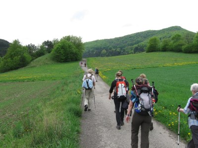 ZUM VERGR�SSERN DRAUFKLICKEN - Fusswallfahrt nach Mariazell 2014 � Pfarre St. Othmar in M�dling