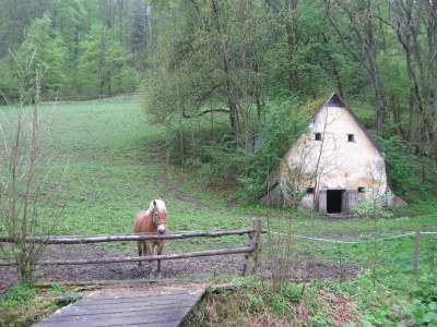 ZUM VERGR�SSERN DRAUFKLICKEN - Fusswallfahrt nach Mariazell 2014 � Pfarre St. Othmar in M�dling