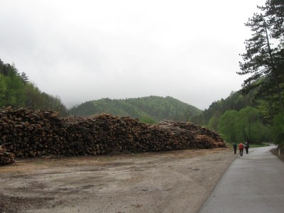 ZUM VERGR�SSERN DRAUFKLICKEN - Fusswallfahrt nach Mariazell 2014 � Pfarre St. Othmar in M�dling