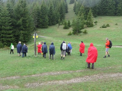 ZUM VERGR�SSERN DRAUFKLICKEN - Fusswallfahrt nach Mariazell 2014 � Pfarre St. Othmar in M�dling