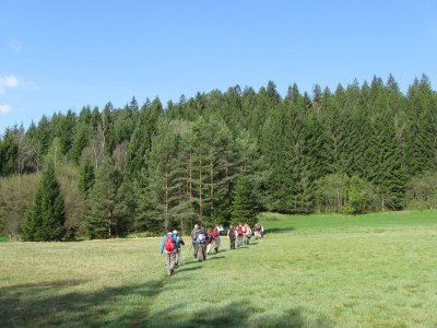 ZUM VERGR�SSERN DRAUFKLICKEN - Fusswallfahrt nach Mariazell 2014 � Pfarre St. Othmar in M�dling