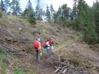 ZUM VERGR�SSERN DRAUFKLICKEN - Fusswallfahrt nach Mariazell 2014 � Pfarre St. Othmar in M�dling
