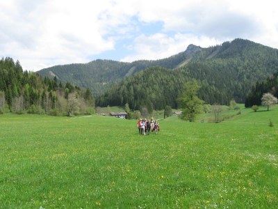 ZUM VERGR�SSERN DRAUFKLICKEN - Fusswallfahrt nach Mariazell 2014 � Pfarre St. Othmar in M�dling