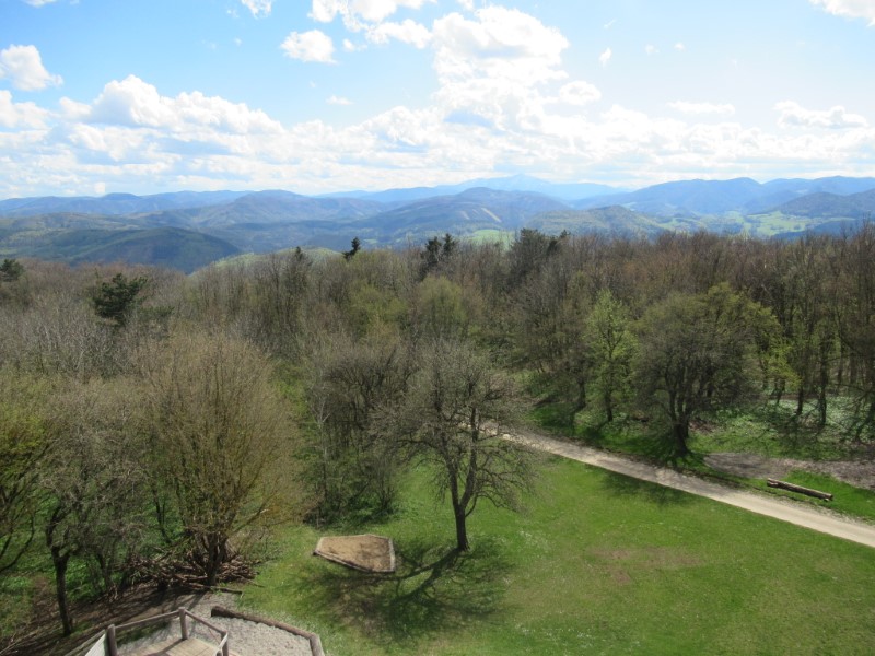 Blick zum Schneeberg