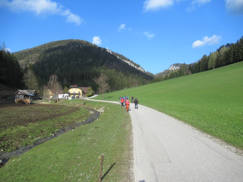 Weg Richtung Rohr
