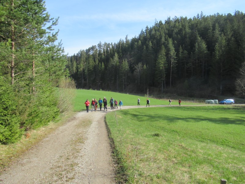 Weg Richtung Kalte Kuchl