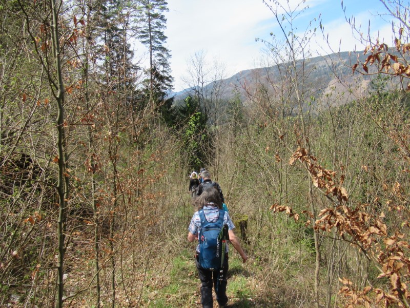 Abstieg nach Mitterbach