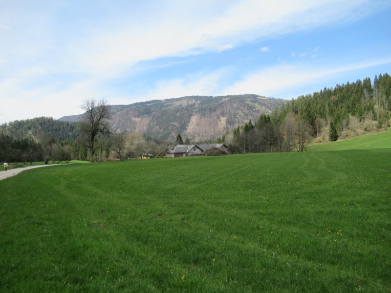 Blick zum Traisenberg