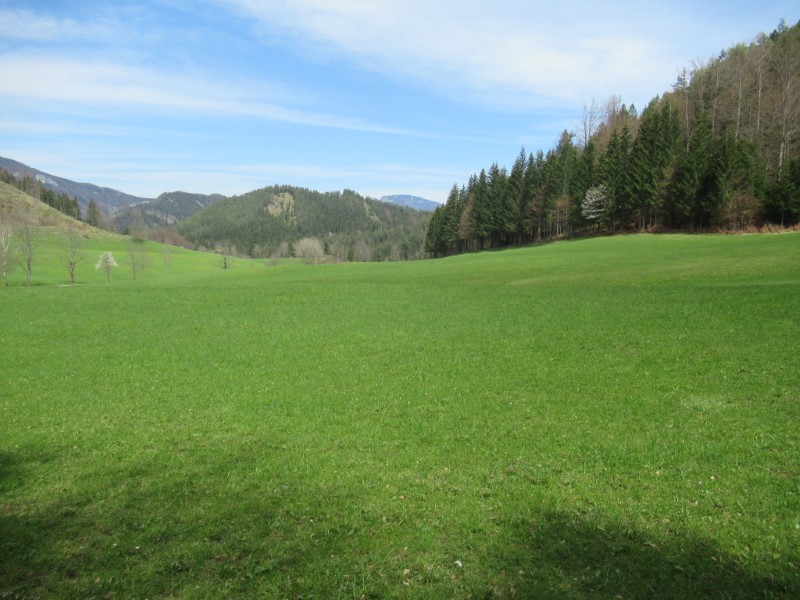 Blick zur Reisalpe