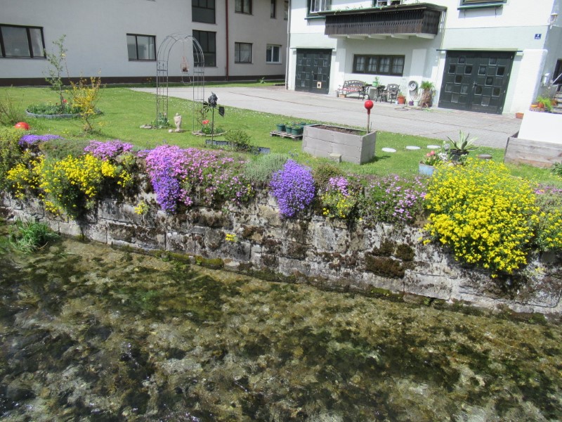 Blumen an der Unrechttraisen