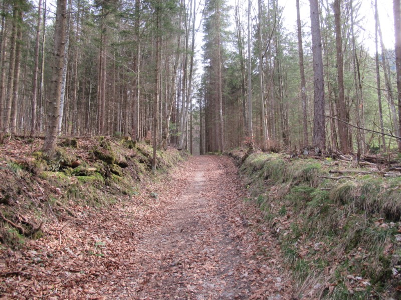 Aufstieg Gscheid