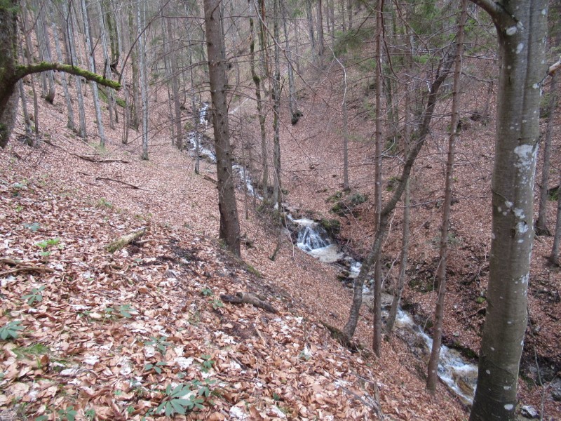 Aufstieg Gscheid