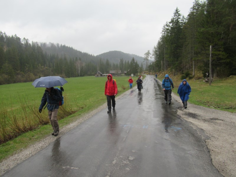 In der Walster