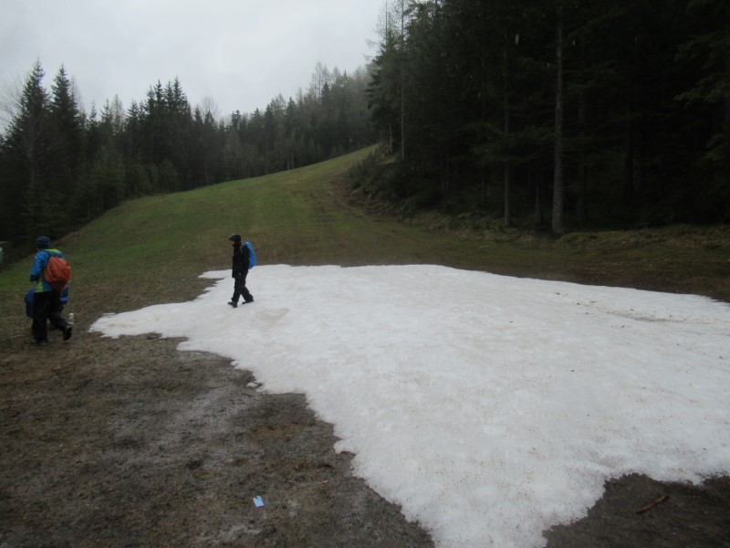 (Kunst-)Schneerest